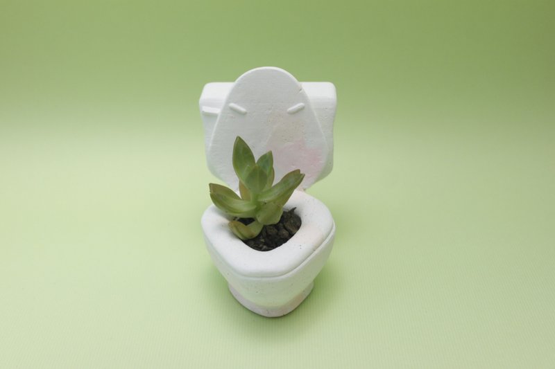 水泥盆器 多肉植物 -马桶 - 植栽/盆栽 - 纸 多色
