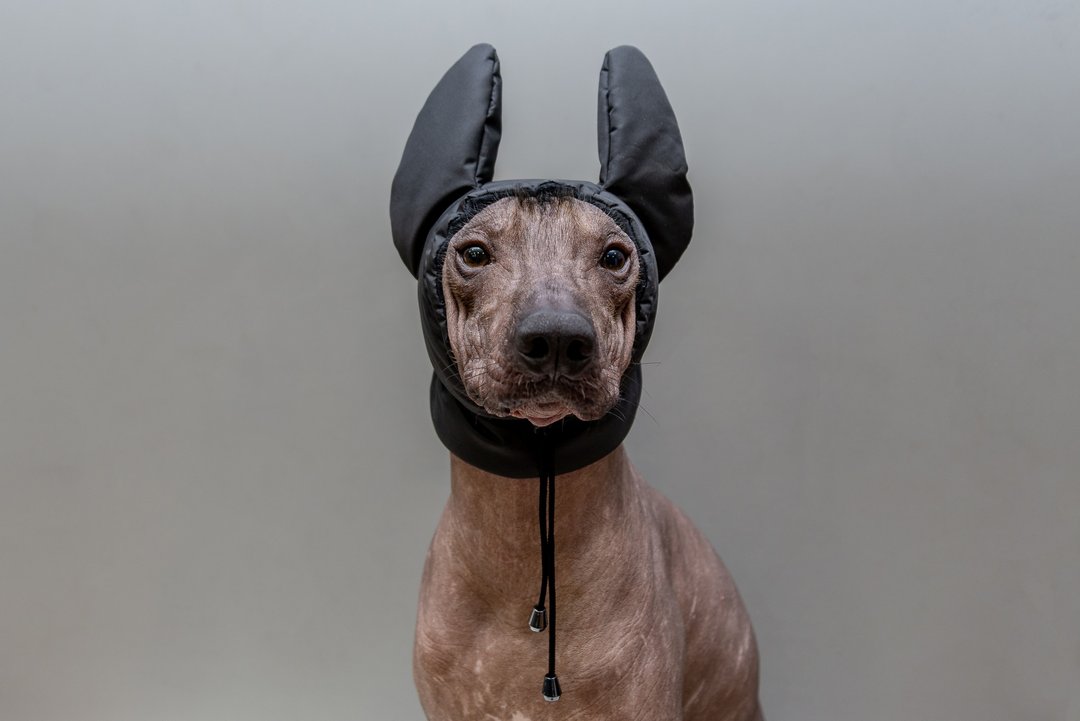 Custom Xolo Winter Fleece Hat Handmade Hat Winter CUSTOM-MADE Dog Ear Warmer - 衣/帽 - 尼龙 黑色