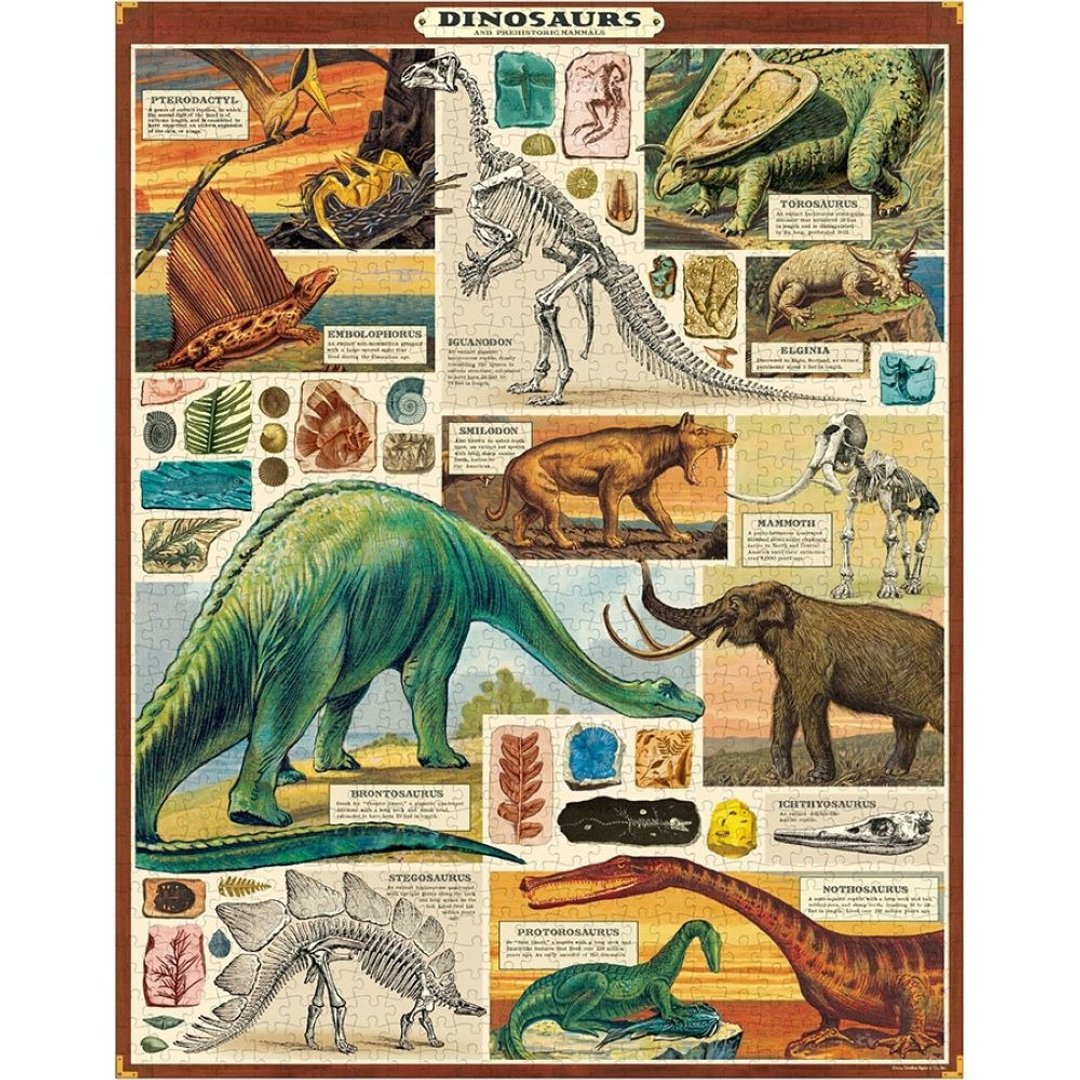 Cavallini & Co.  圆罐1000片拼图_恐龙 - 拼图 - 纸 多色