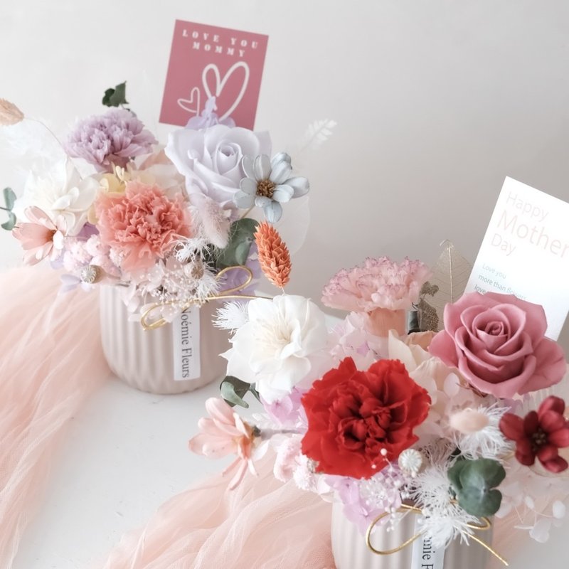 | 永生康乃馨盆花 | 母亲节盆花 - 干燥花/捧花 - 植物．花 红色