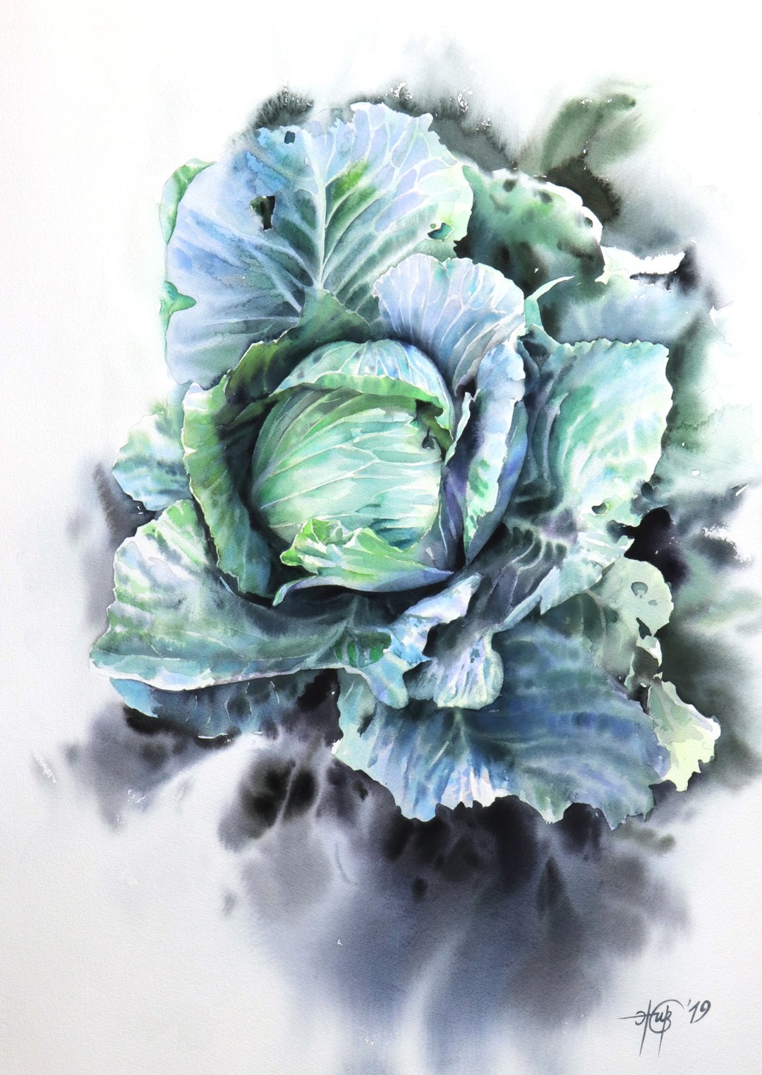 Botanical cabbage original watercolor handmade painting by artist Irina Zhunaeva - 墙贴/壁贴 - 纸 绿色