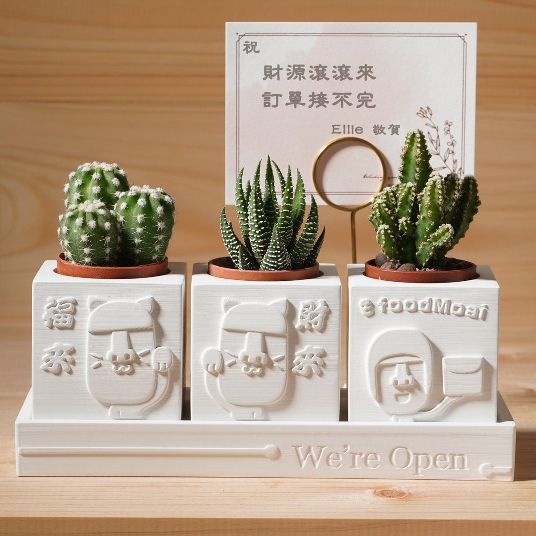 【开幕礼2】 | We're Open 开运摩艾 | 多肉植物水泥盆栽4件组 - 植栽/盆栽 - 水泥 白色