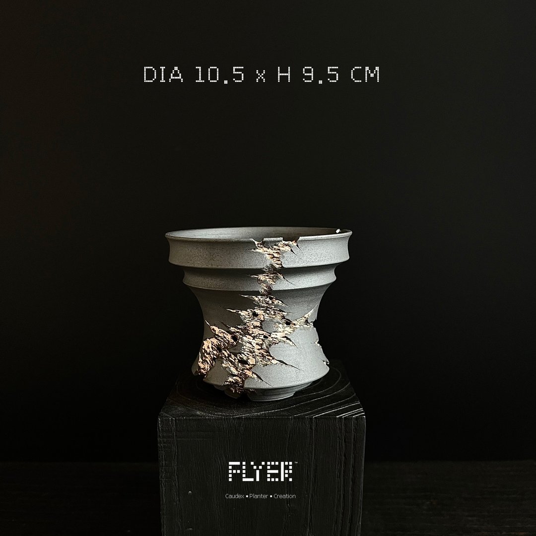 FLYER裂纹系列 块根多肉植物陶盆器 龙舌兰象牙宫盆器 - 花瓶/陶器 - 陶 黑色