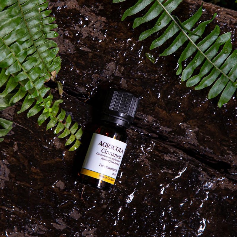 有机锡兰肉桂叶精油 -  德国原装进口 纯植物萃取 天然扩香 - 香薰/精油/线香 - 精油 黄色