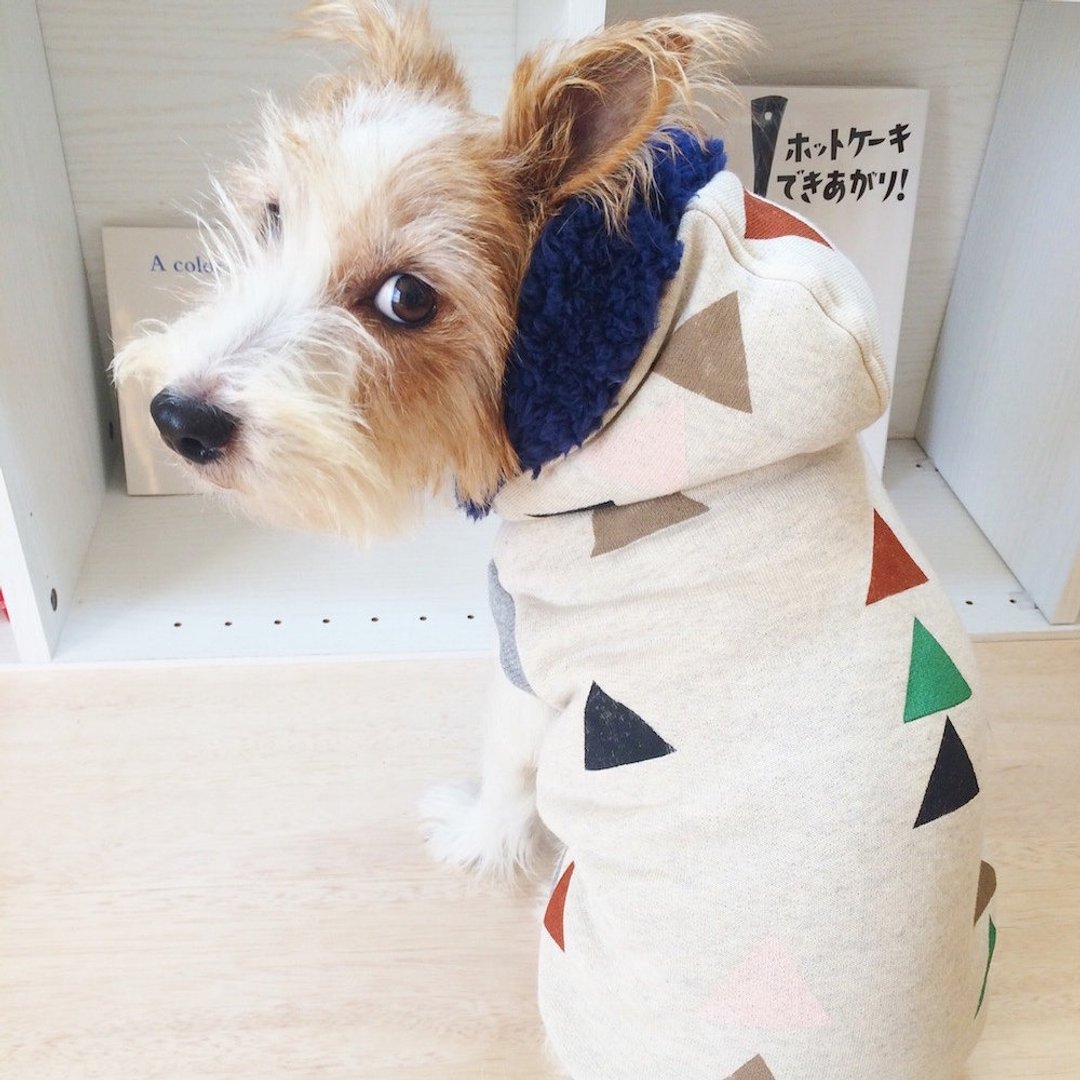 Dog Hoodie Triangle Hand Painted / Ivory  L - 衣/帽 - 其他材质 白色