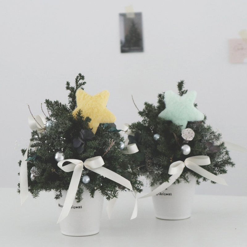 圣诞树 \ 永生雪松 小颗仪式感也足 缎带公主风 星星 - 摆饰 - 植物．花 