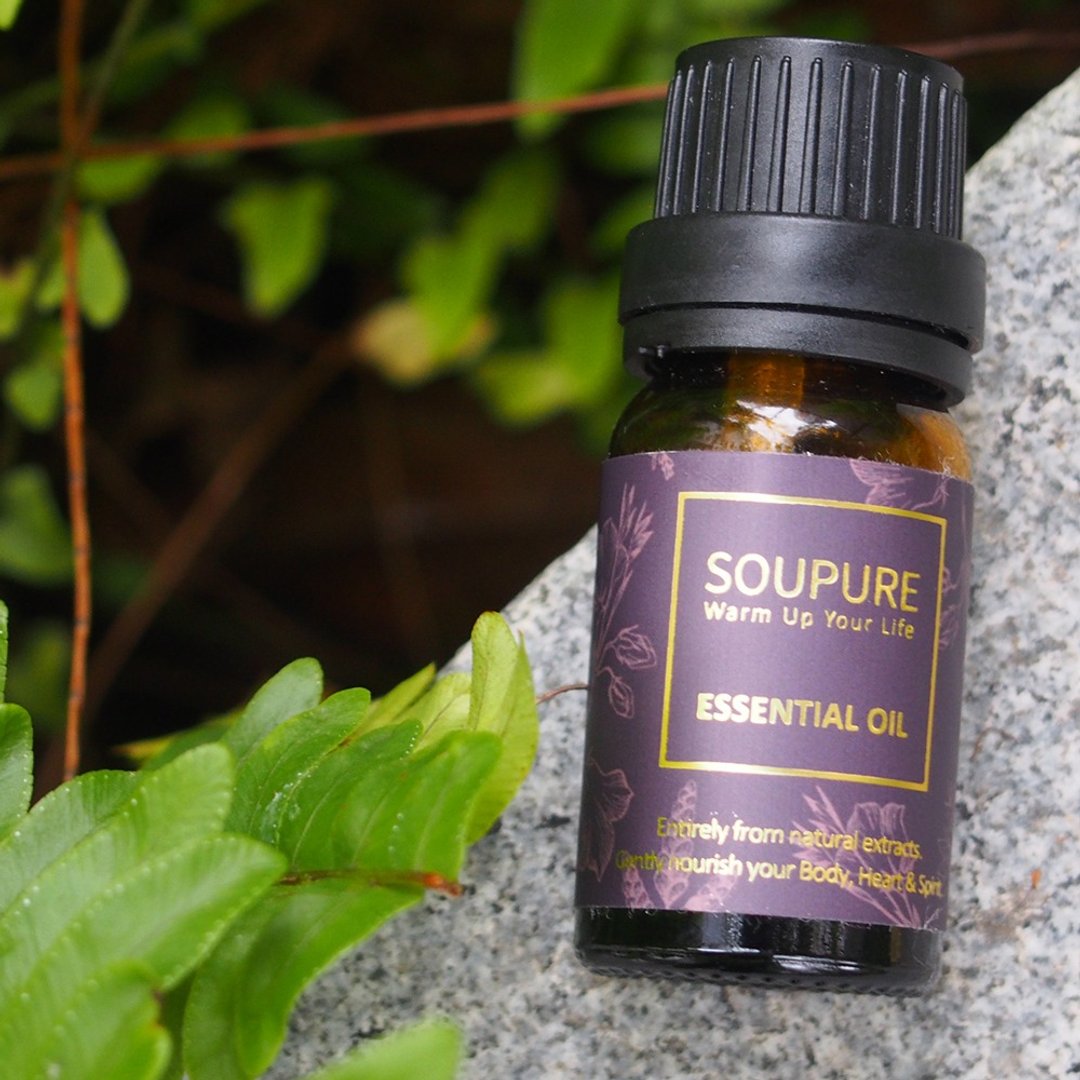 溯璞家品  自然木质香调 天然单方纯原精油10ml 多款任选 - 香薰/精油/线香 - 精油 咖啡色