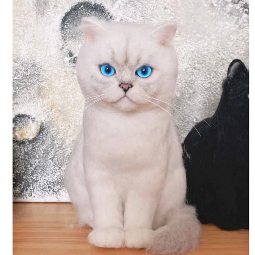 定制化礼物 逼真猫猫 羊毛毡 毛孩 宠物 娃娃 猫咪猫奴 似颜绘 b1 - 玩具 - 羊毛 多色