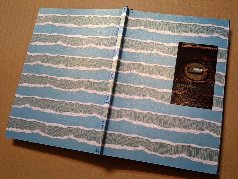 Liuyingchieh 是谁说枪杀婴儿是正常的 004 VEGAN 拼贴艺术家的书 - 刊物/书籍 - 纸 多色