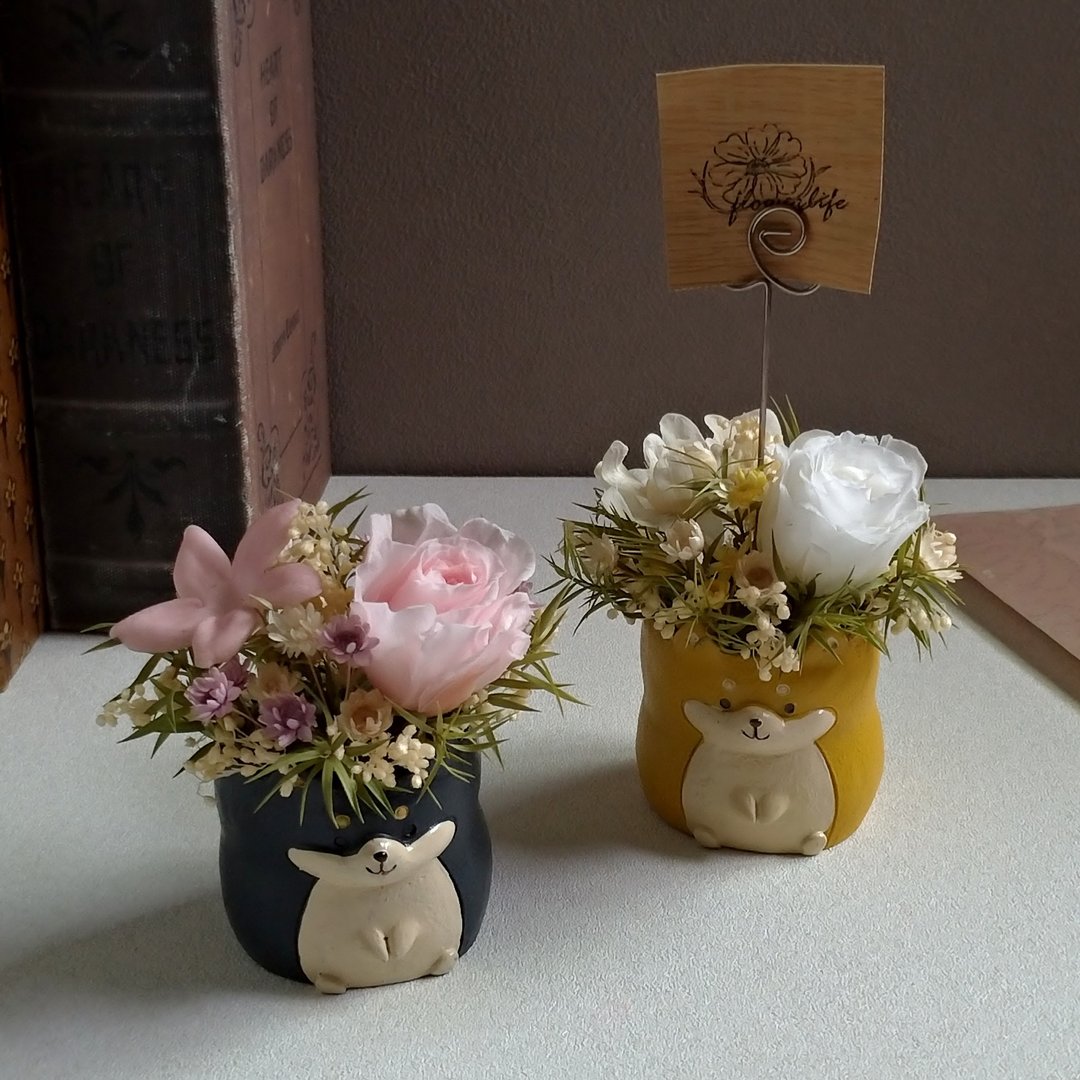 【汪汪│柴犬】memo夹桌花│永生花│干燥花 - 干燥花/捧花 - 植物．花 