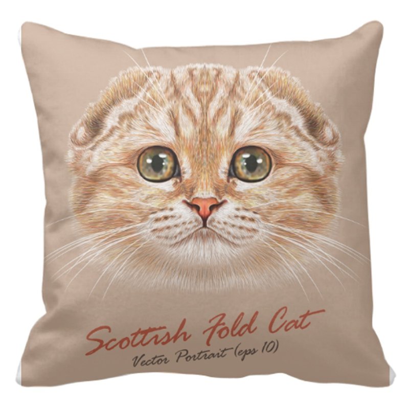 细毛绒抱枕 - 枕头/抱枕 - 棉．麻 多色