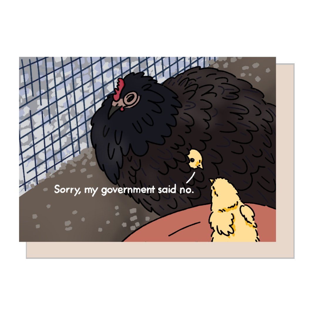Greeting Card - Sorry my government said no Pandemic chicken Meme - 卡片/明信片 - 纸 