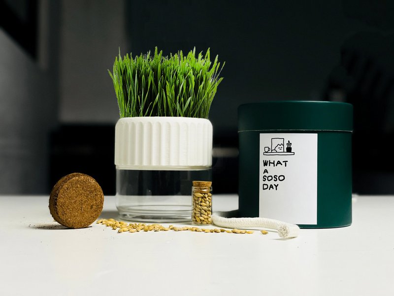 PRINTING LIFE / 免浇水环保盆栽 猫草 送礼 礼盒 生日礼物 植栽 - 植栽 - 植物．花 