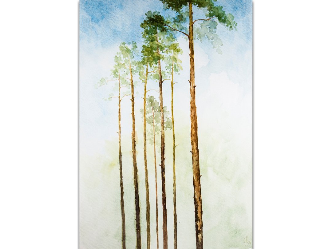 Pine Tree Painting Forest Original Art Watercolor Original Hand-Painted Art - 海报/装饰画/版画 - 纸 绿色