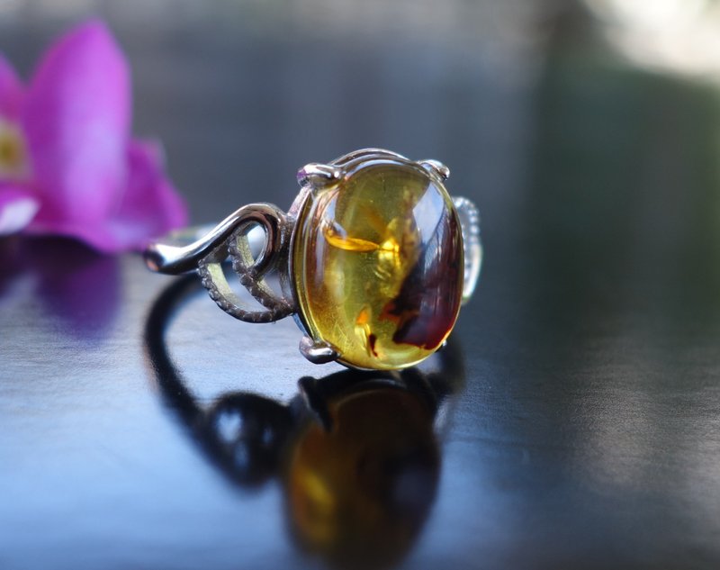 Baltic Amber 琥珀 天然波罗的海 金珀 戒指 2.56克 植物珀 花珀 - 戒指 - 半宝石 金色