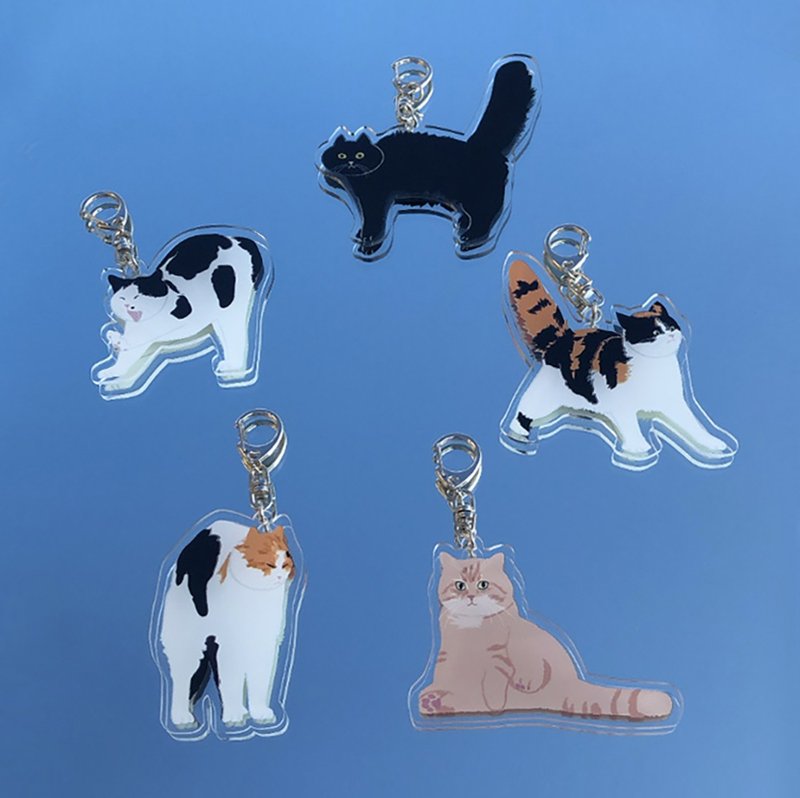 【CINDY CHIEN】猫好友五款压克力钥匙圈 - 钥匙链/钥匙包 - 压克力 