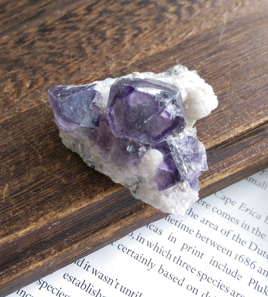 Fluorite  福建产地 清透 紫萤石 水晶共生 天然矿石 原矿 - 摆饰 - 其他材质 