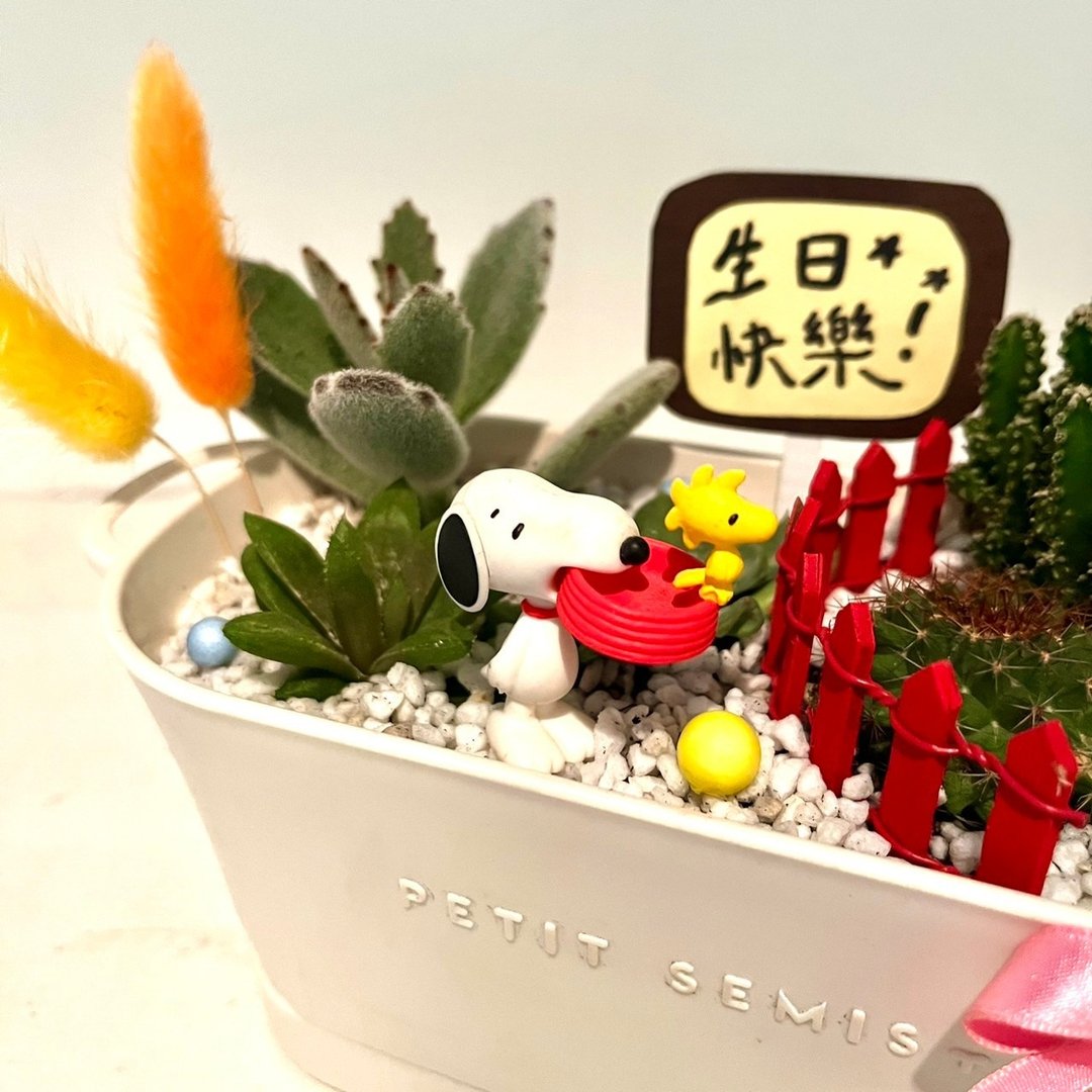 史奴比 SNOOPY 糊涂塌客 多肉盆栽 多肉组盆 微景观 定制化送礼 - 植栽/盆栽 - 植物．花 绿色