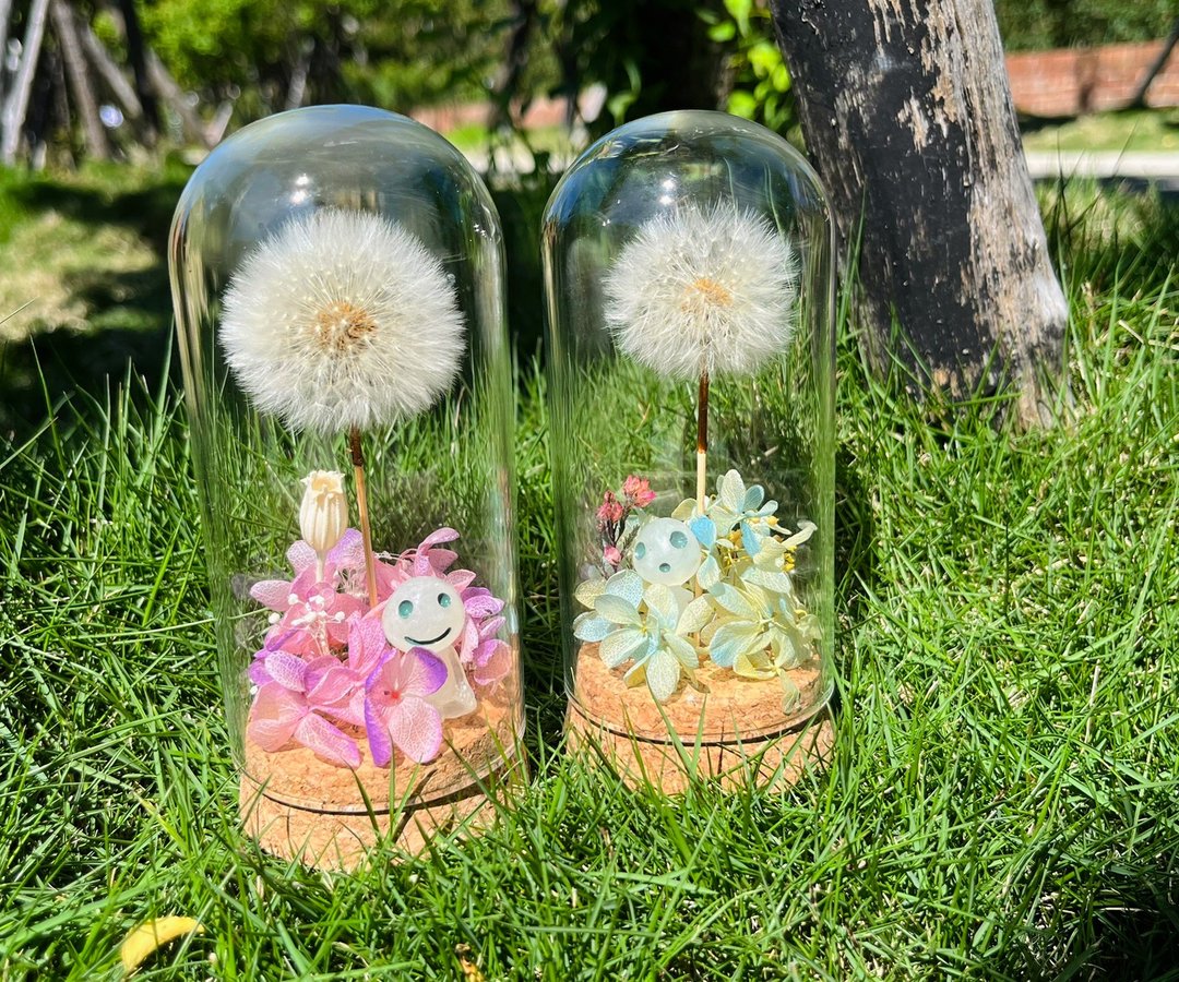 蒲公英微景观 小森林 魔法精灵 夜光木灵 永生花 交换礼 - 摆饰 - 植物．花 