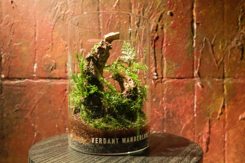 【生态缸－月影未落】微景观 室内植栽 礼物 办公室摆设 - 植栽/盆栽 - 植物．花 绿色