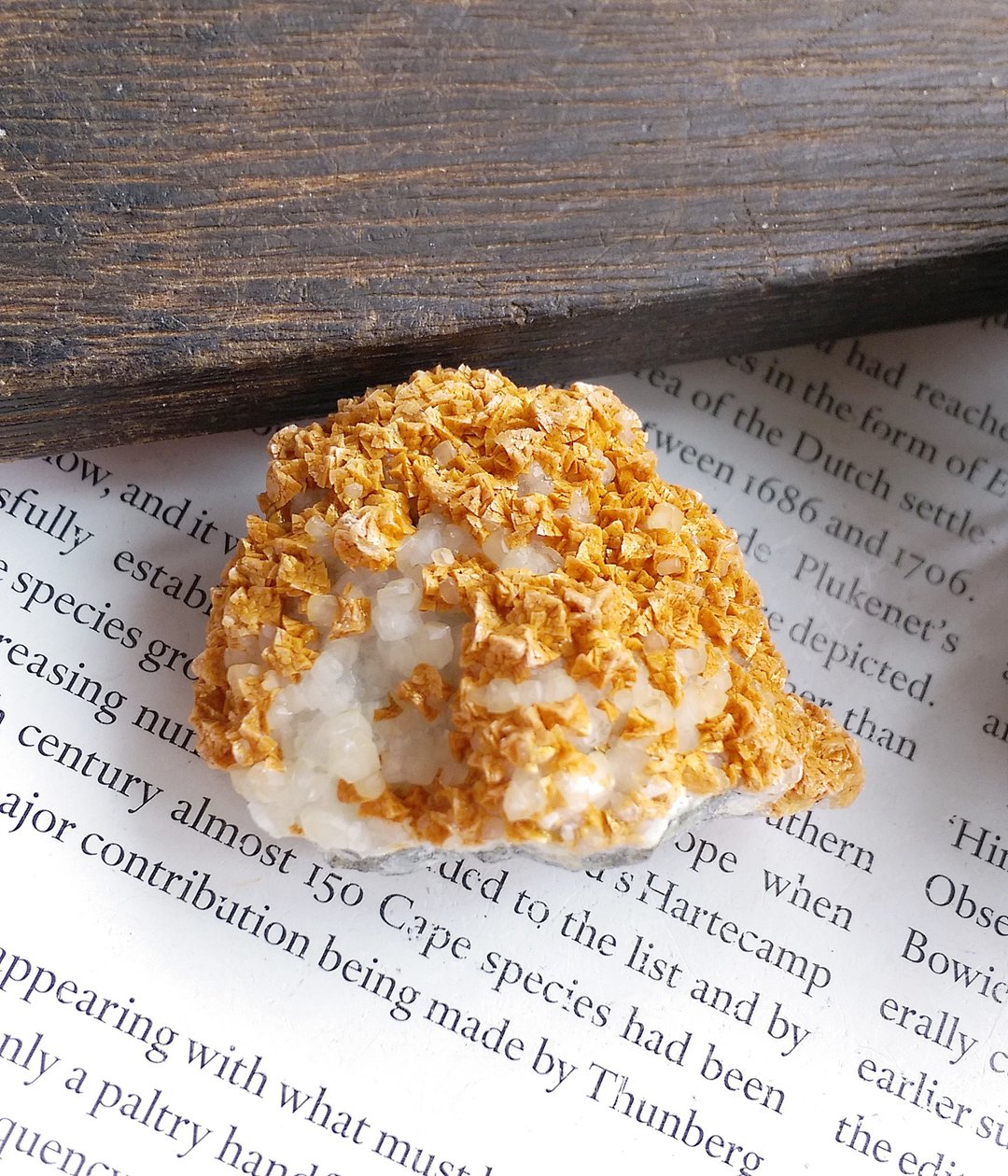 Calcite on Ankerite 湖北 方解石 铁白云石共生矿 天然矿石 原矿 - 摆饰 - 其他材质 