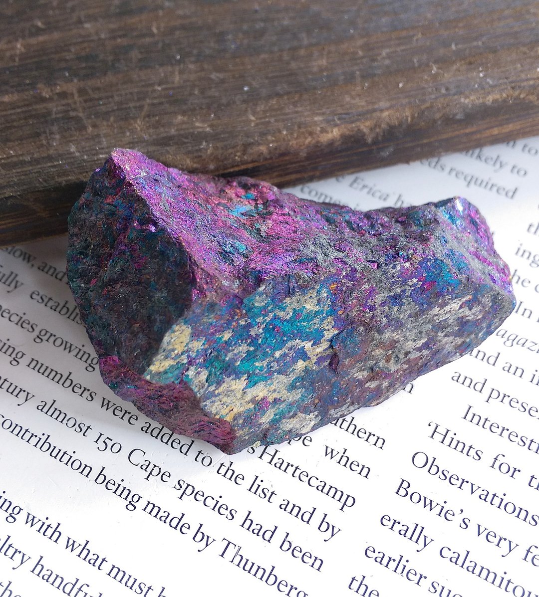 Bornite  墨西哥产地 斑铜矿 天然矿石 原矿 - 摆饰 - 其他材质 