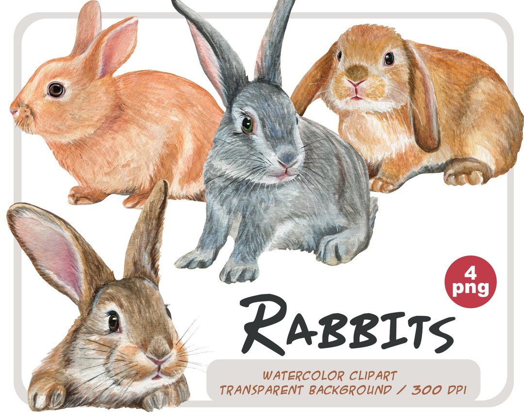 Watercolor Rabbits clipart set - Realistic bunnies png - 插画/绘画/写字 - 其他材质 咖啡色