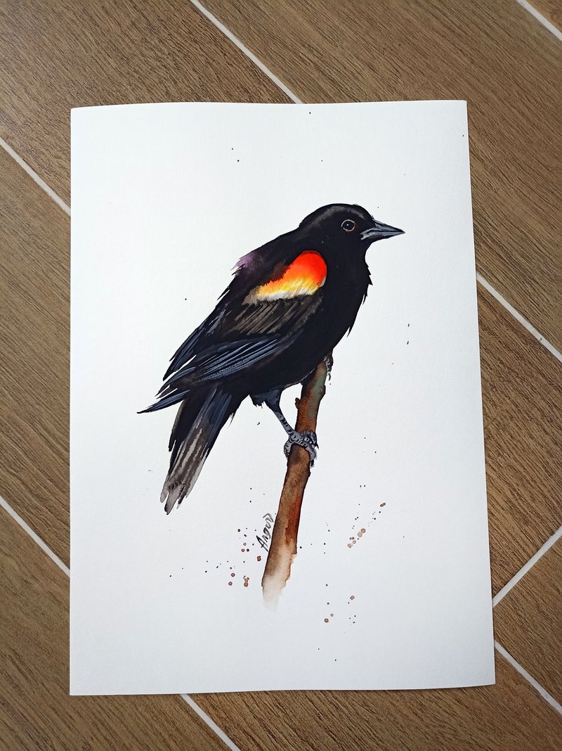 Watercolor Red-Winged Blackbird original room decor painting by Anne Gorywine - 墙贴/壁贴 - 纸 黑色