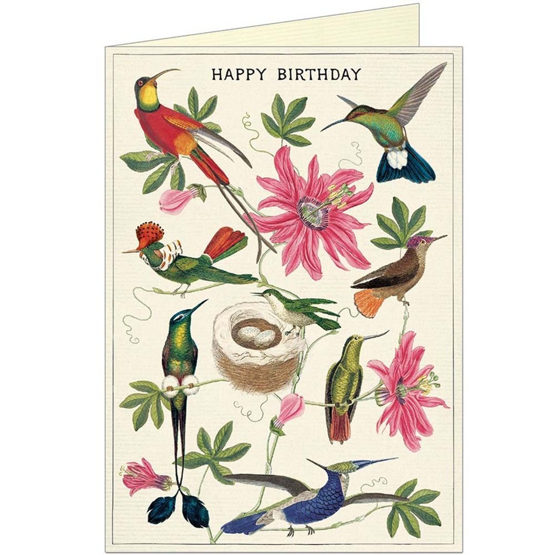 Cavallini & Co.  GREETING CARD 生日卡(大)_蜂鸟 - 卡片/明信片 - 纸 多色