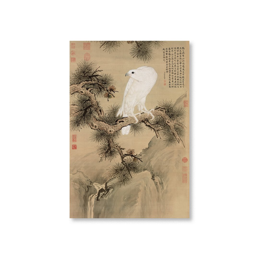 【明信片・Postcard】郎世宁・白鹘图 - 卡片/明信片 - 纸 卡其色