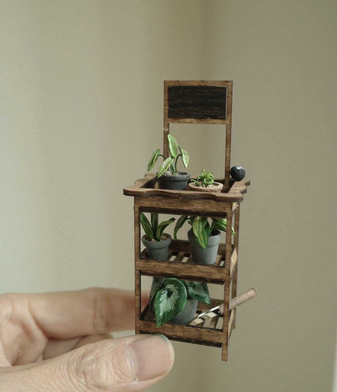 袖珍植物小层架 现货 仅此一件 售完不补 - 摆饰 - 真皮 