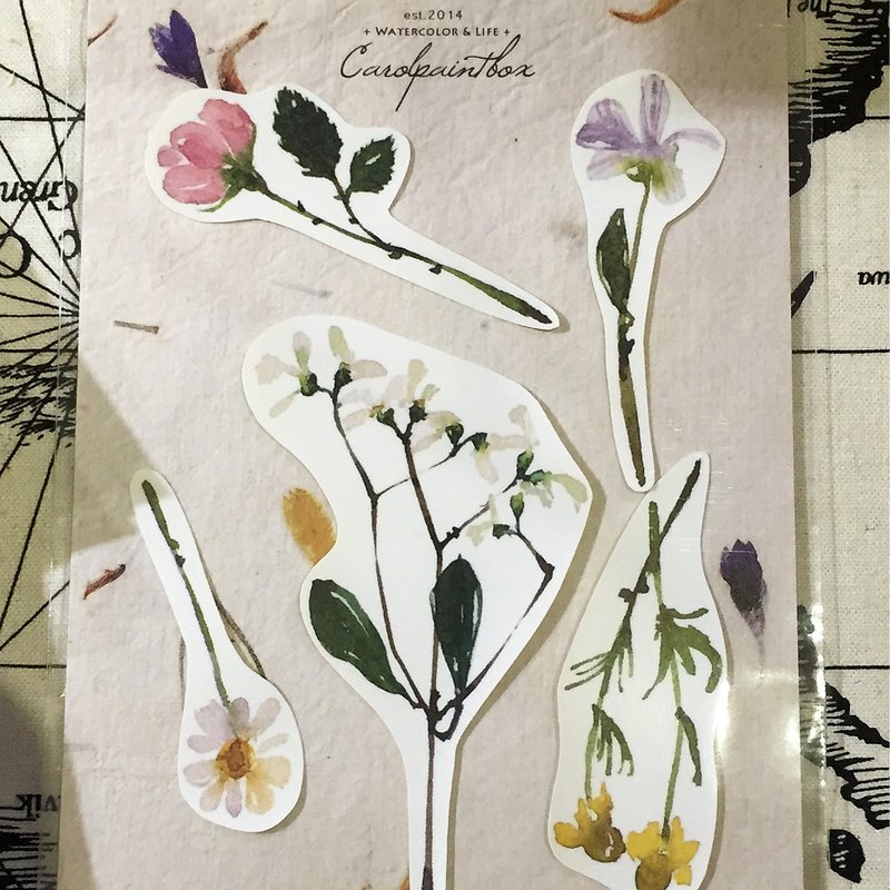 大花朵贴纸5张 / 凯若插画 - 贴纸 - 纸 