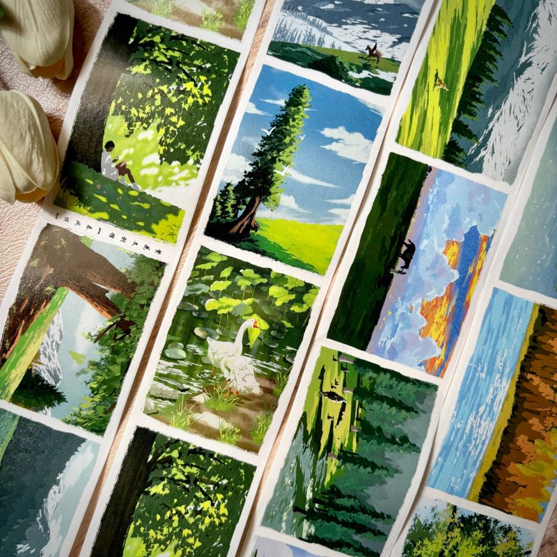 春风慢 PET 和纸胶带 6米卷 - 纸胶带 - 纸 多色