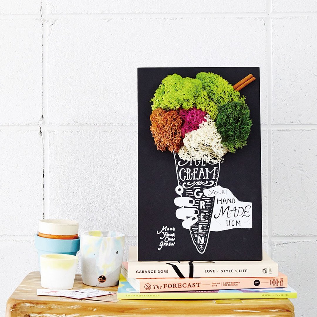 URBAN GREEN MAKERS - Green Art 创作壁挂 / 03.ICE CREAM - 植栽 - 植物．花 