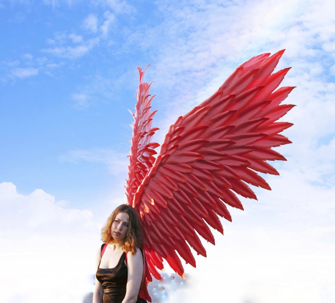 Large bendable Red Devil wings/Cosplay Costume/photo props/Phoenix fire wings - 其他 - 其他人造纤维 