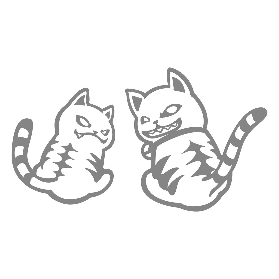 痞子猫 机车贴纸 防水耐晒 反光贴纸 机车贴纸 防水车贴 - 贴纸 - 防水材质 