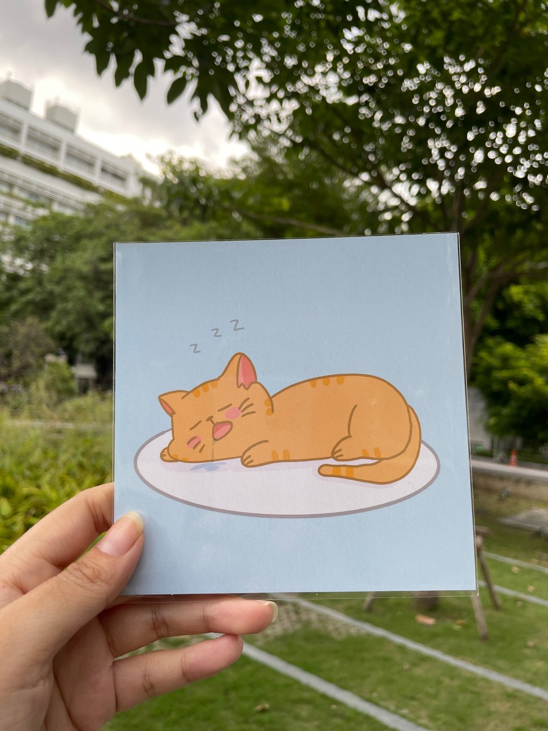 明信片 - 卡片/明信片 - 纸 