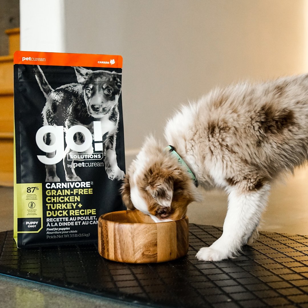 【狗主食】go! 鸡肉鲑鱼幼犬 高肉量系列 无谷 狗饲料 WDJ - 狗罐头/鲜食 - 新鲜食材 