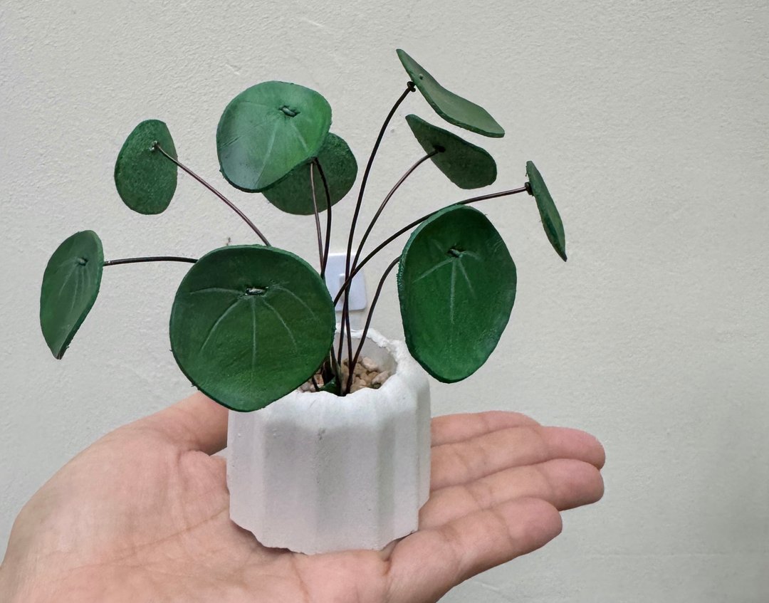 镜面草皮革小品 - 植栽/盆栽 - 真皮 