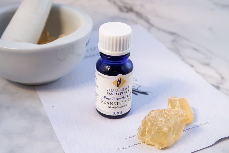 【澳洲原装】Frankincense Indian 印度乳香精油 - 香薰/精油/线香 - 精油 