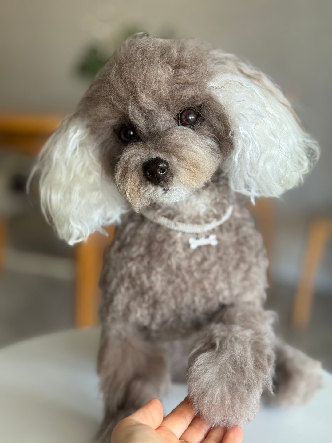 贵宾犬拟真绒毛玩具 - 玩偶/公仔 - 其他材质 咖啡色