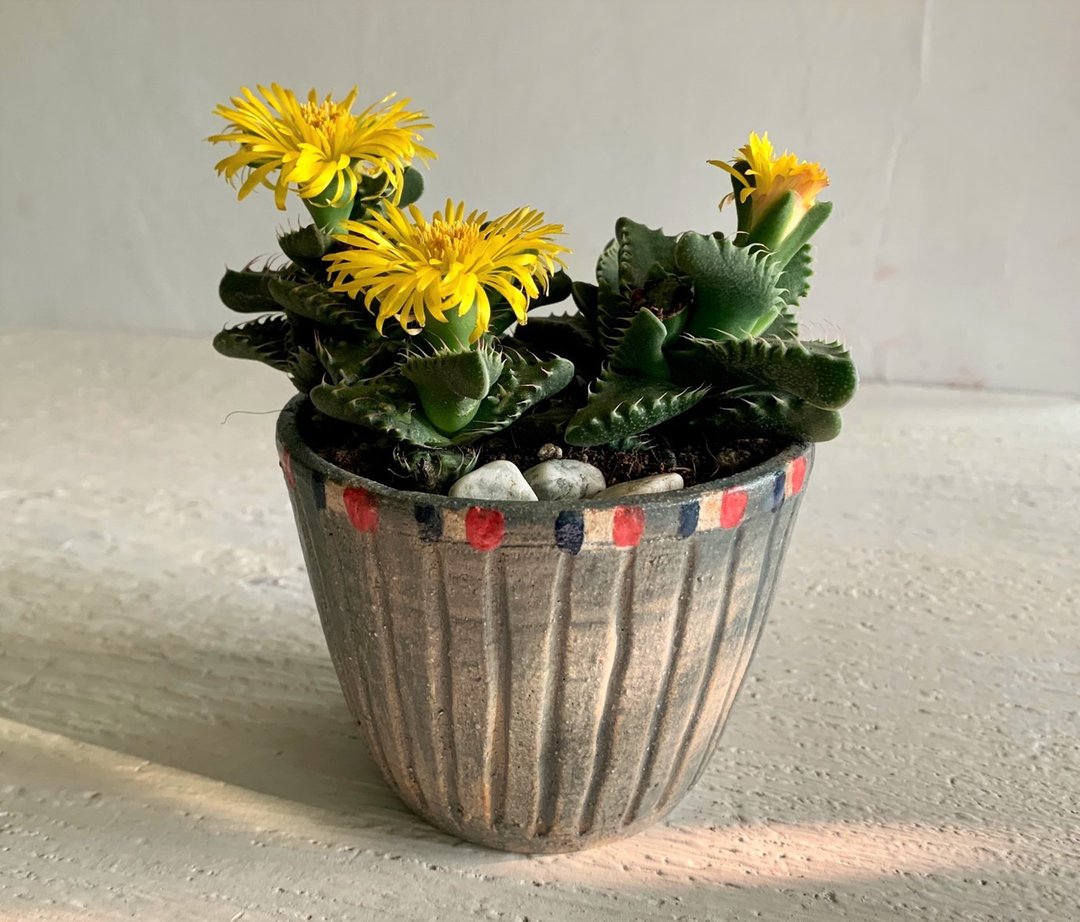 水洗灰简约直纹_陶器花器盆栽 - 植栽/盆栽 - 陶 灰色