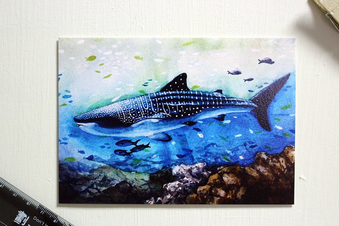 豆腐鲨点点 spot whale shark 明信片 水彩 - 卡片/明信片 - 纸 