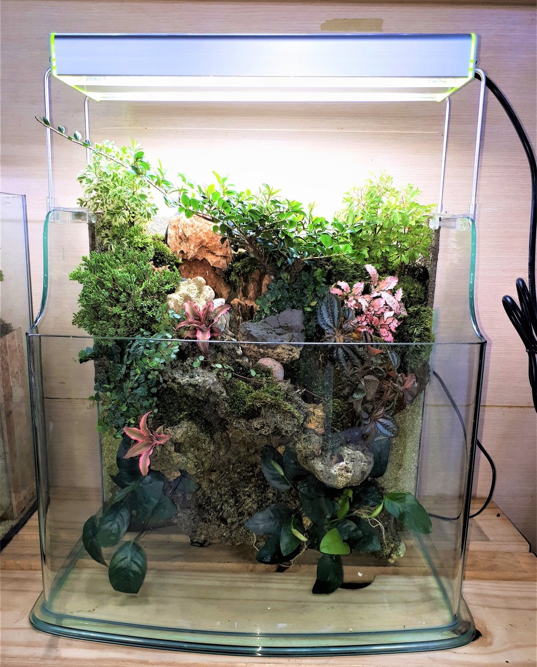 开运生态造景鱼缸AA-45海湾型     居家风水最耀眼吸睛的摆饰 - 植栽/盆栽 - 玻璃 