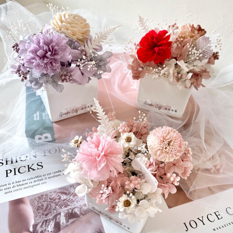 康乃馨干燥花小盆栽 永生花桌面摆饰设计 - 干燥花/捧花 - 瓷 紫色