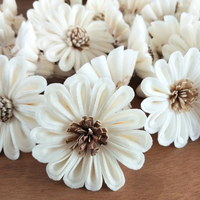 由田菁树制成的向日葵，尺寸5厘米，50朵花。 - 植栽 - 植物．花 