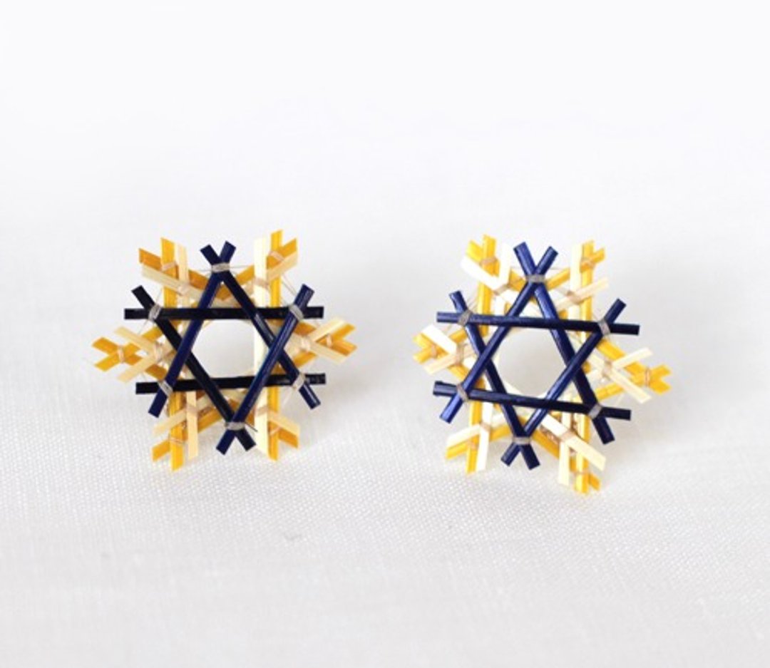 Refreshing Straw Star Straw Earrings Blue - 耳环/耳夹 - 植物．花 