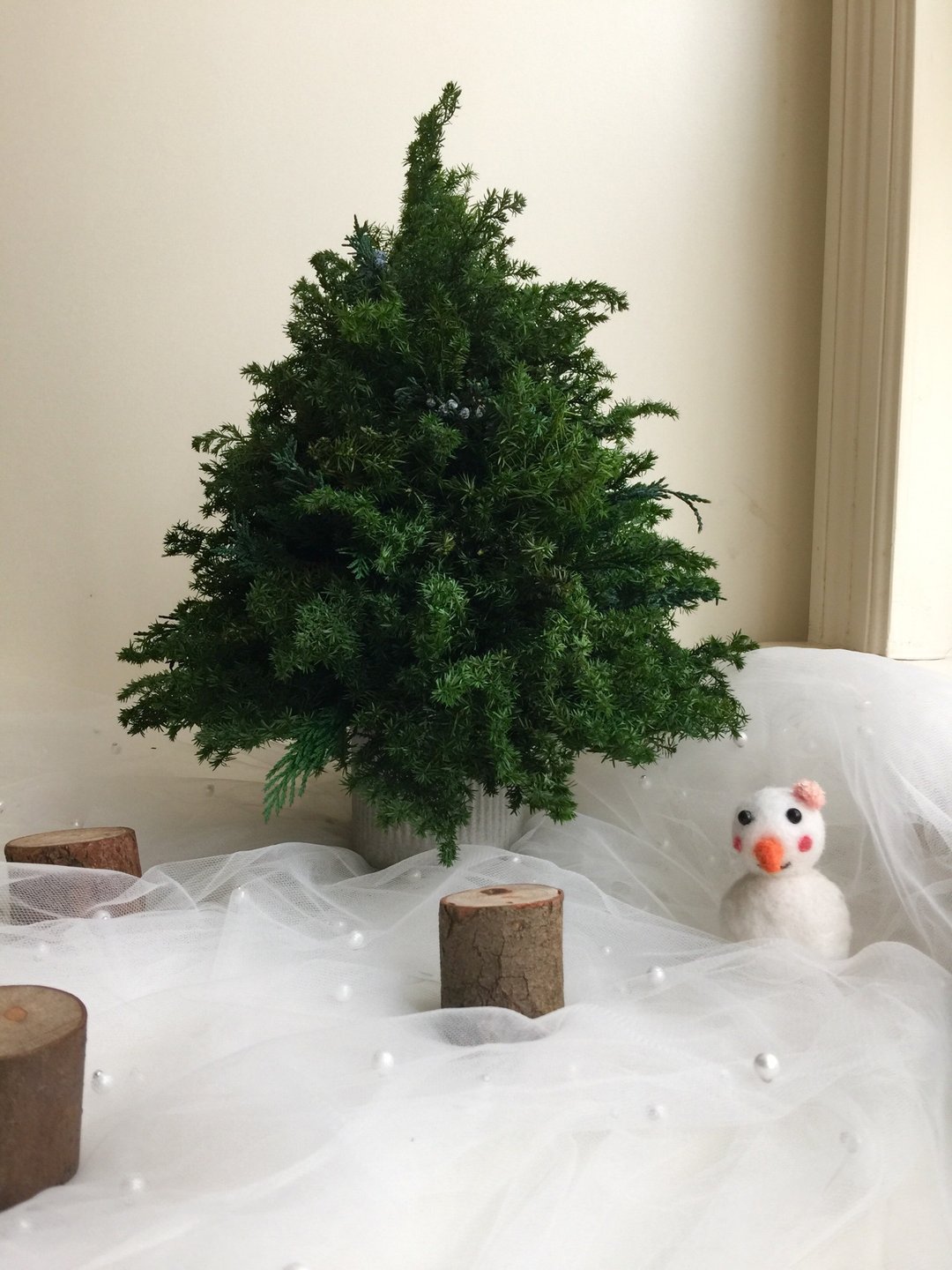 永生不凋雪松圣诞树35厘米　裸树 DIY 交换礼物 - 摆饰 - 植物．花 