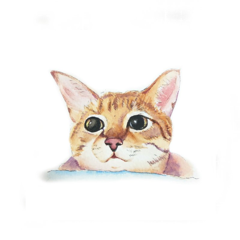 定制人物画像 宠物画 写实 似颜绘 生日 情侣 婚礼 毕业礼物风格A - 订制抱枕/饰品 - 纸 