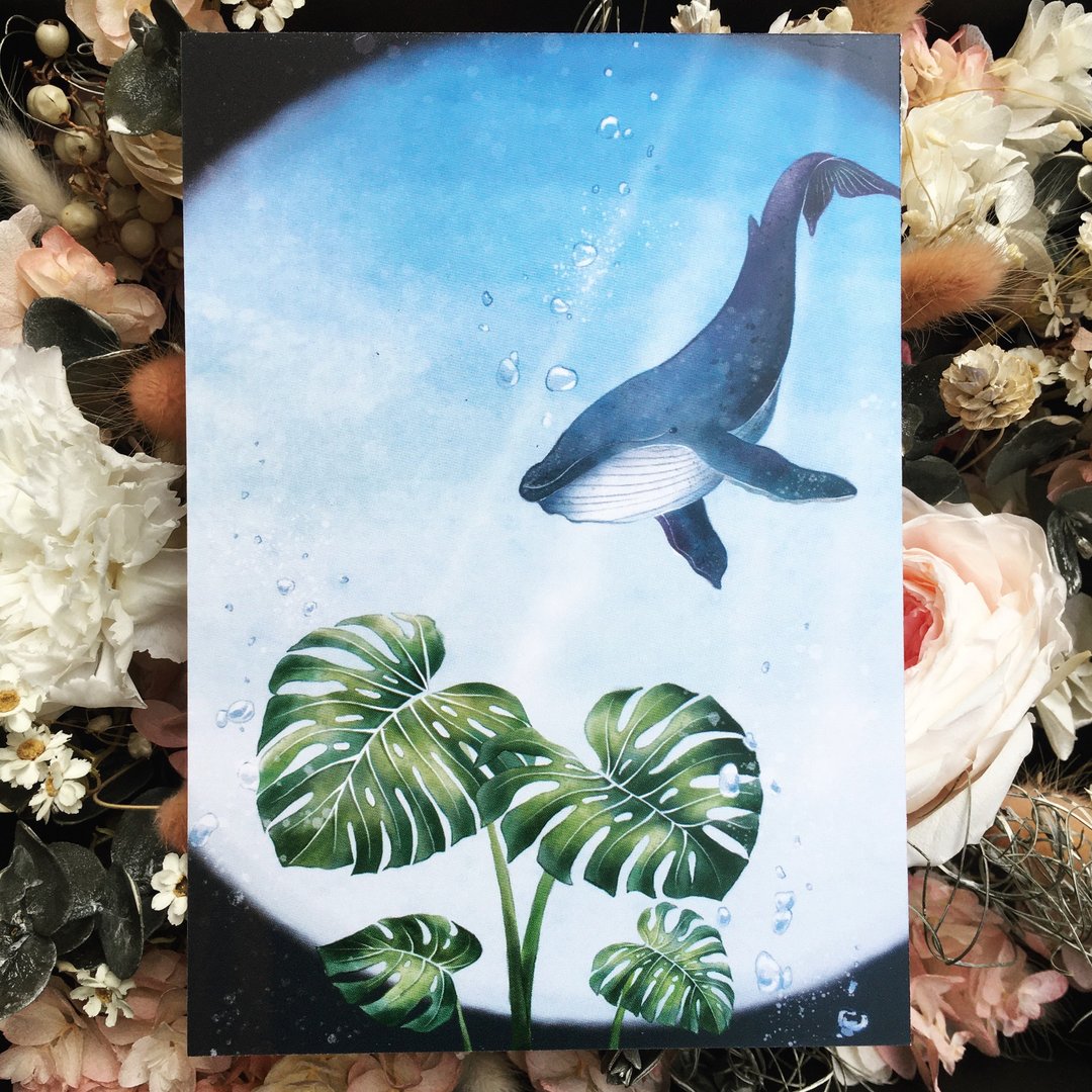 吸引鲸鱼的龟背芋 明信片 - 卡片/明信片 - 纸 蓝色